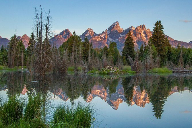 Sunrise 4-Hour Grand Teton Wildlife Adventure - Key Points