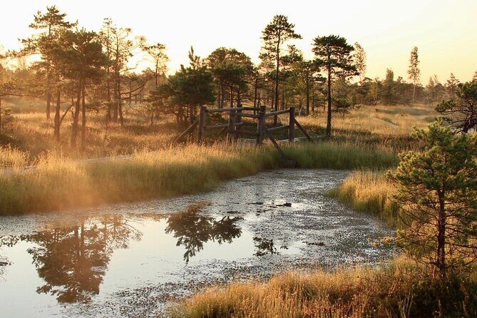 Sunrise at Kemeri National Park - A Detailed Look at the Sunrise Tour to Kemeri National Park