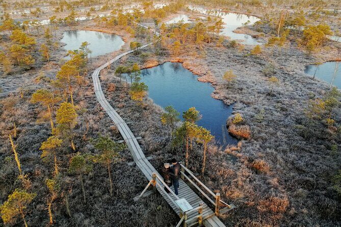 Sunrise at Kemeri National Park - Who Will Love This Tour?