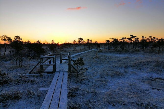 Sunrise at Kemeri National park + Jurmala - Exploring Latvia’s Natural and Coastal Treasures