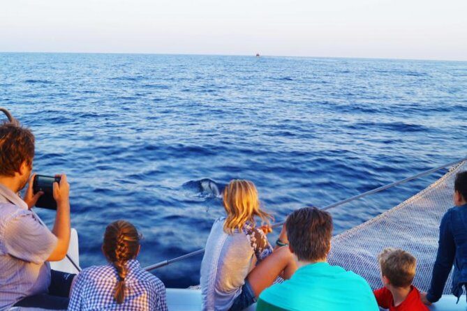 Sunrise Boat Trip in Mallorca with Dolphin-Watching - FAQ