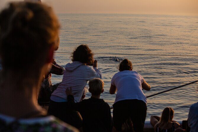 Sunrise Boat Trip in Mallorca with Dolphin-Watching - Final Thoughts