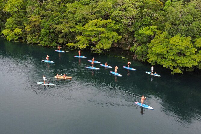 Sunrise by Paddle or Kayak with Floating Picnic - FAQs