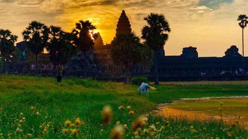 Sunrise Cycling Of Angkor Wat Temple - Who This Tour Is Best For
