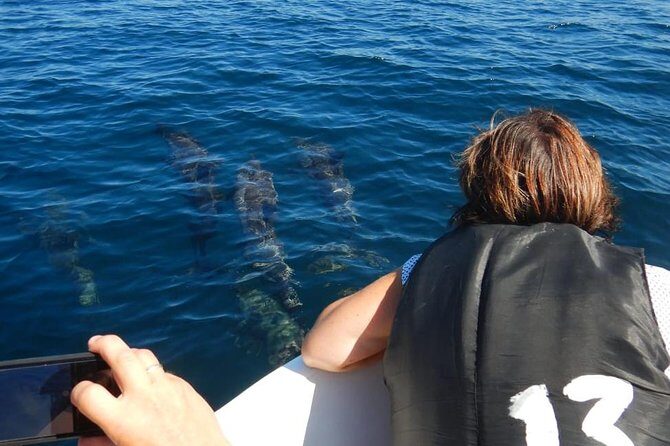 Sunrise dolphin watching experience and Bar Reef snorkelling Kalpitiya - Why Choose This Experience?