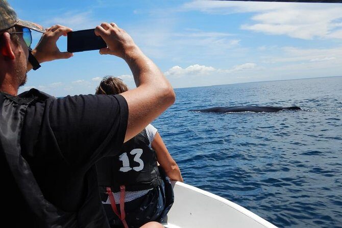 Sunrise dolphin watching experience and Bar Reef snorkelling Kalpitiya - FAQ: Your Questions Answered