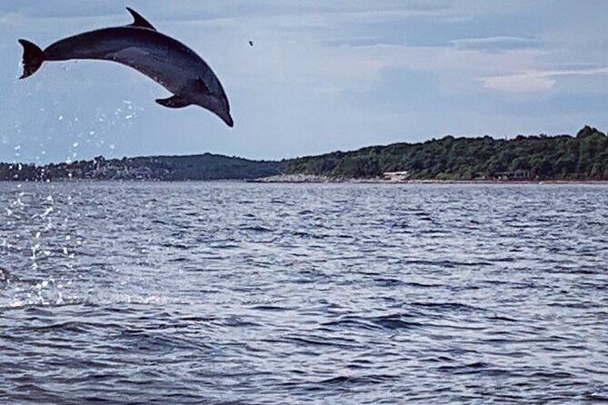 Sunrise Dolphins & Fishermen at Work speedboat tour in Rovinj - Who Will Love This Tour?