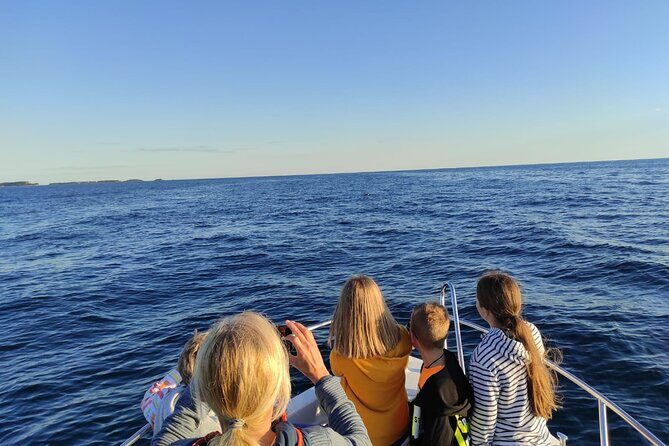 Sunrise Dolphins & Fishermen at Work speedboat tour in Rovinj - The Sum Up