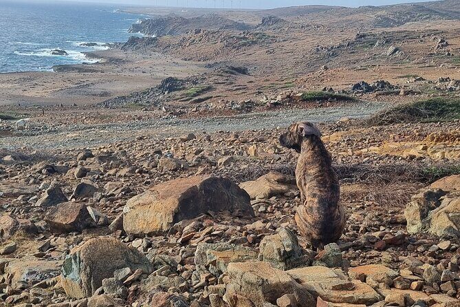 Sunrise Hike and Beach Meditation to Rancho Curason - Who Will Love This Tour?
