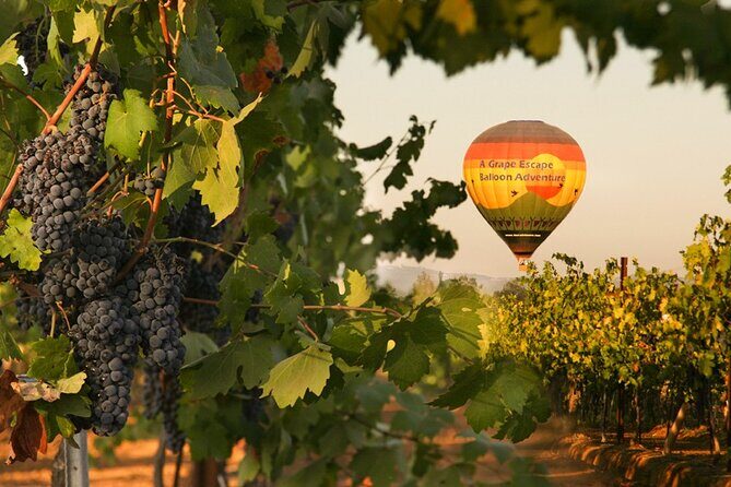 Sunrise Hot Air Balloon Flight over the Temecula Wine Country - Key Points