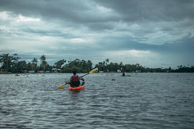 Sunrise Kayaking in Magical Alleppey Backwater Village - What Makes This Experience Special?