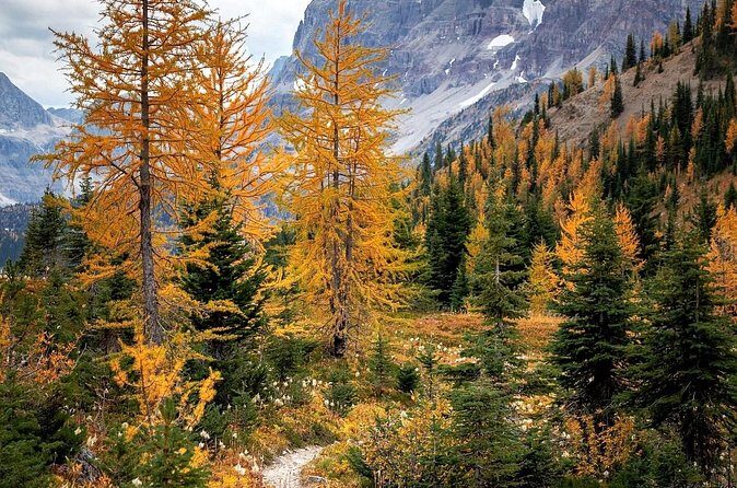 Sunrise Moraine Lake and Lake Louise Adventure - FAQ