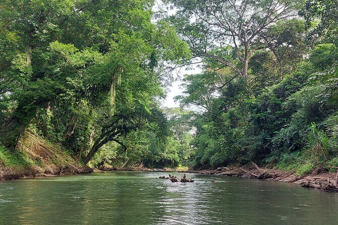 Sunrise Nature River Float Half-Day Tour in La Fortuna - An In-Depth Look at the Sunrise River Float
