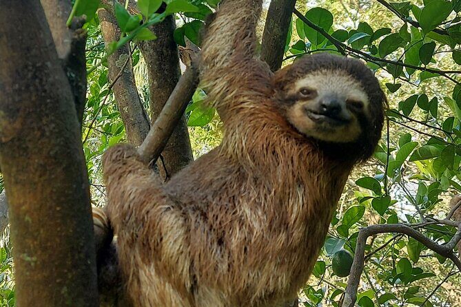 Sunrise Nature River Float Half-Day Tour in La Fortuna - FAQ