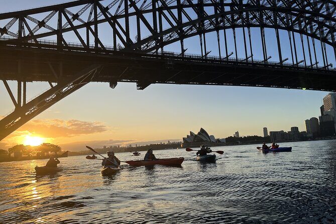 Sunrise Paddle Session on Syndey Harbour - Who Will Love This Tour?