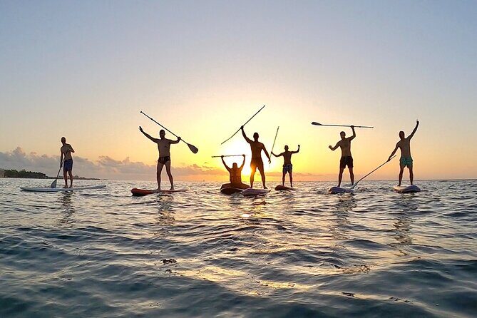 Sunrise Paddle Surf - A Detailed Look at Sunrise Paddle Surf in Playa del Carmen