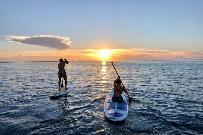 Sunrise Stand Up Paddle activity on a privileged beach. - FAQ