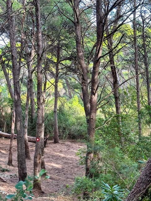 Sunrise & Sunset Hike with Picnic  Mala Petka, Dubrovnik - An Authentic Escape Near Dubrovnik