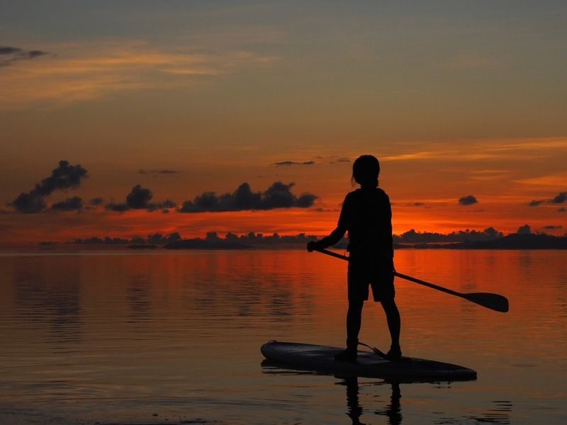 Sunrise SUP & Canoe Tour Experience (Iriomote Island, Okinawa) - A quiet start in Iriomote’s mangroves