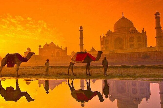 Sunrise Taj Mahal, Agra Fort & Baby Taj Tour from Delhi by Car - In-Depth Review of the Sunrise Taj Mahal, Agra Fort & Baby Taj Tour