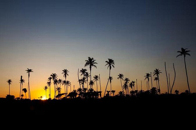 Sunrise Tour in San Andrés Natural Aquarium - Final Thoughts: Is It Worth It?