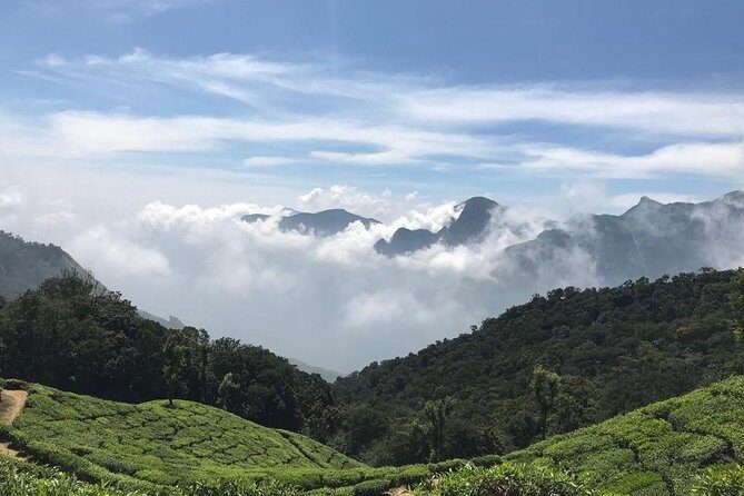 Sunrise Tour in Top Station, Munnar ( By Munnar Info) - Frequently Asked Questions