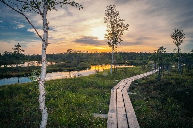 Sunrise Tour To Great Kemeri Bog - Exploring the Sunrise Tour to Great Kemeri Bog: A Detailed Look