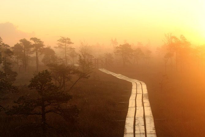 Sunrise Tour To Great Kemeri Bog - FAQs about the Sunrise Tour to Great Kemeri Bog