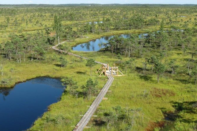 Sunrise Tour To Great Kemeri Bog - Final Thoughts