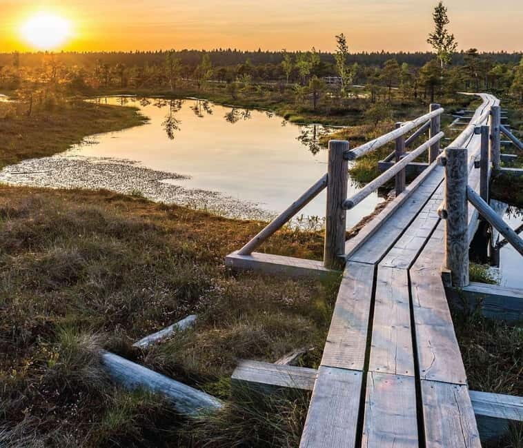 Sunrise Tour To Great Kemeri Bog - Key Points
