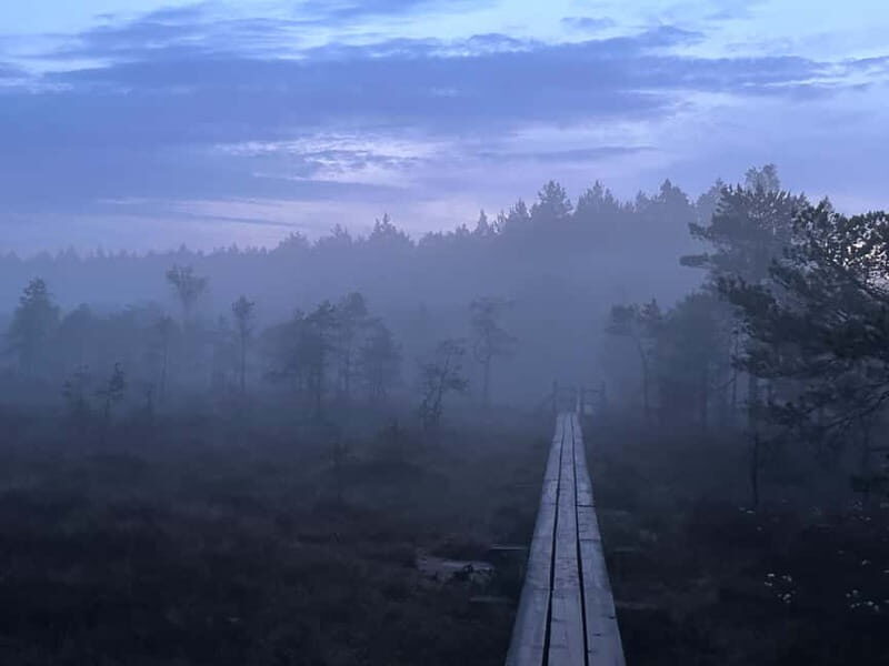 Sunrise Tour To Great Kemeri Bog - What You Need to Know Before Booking