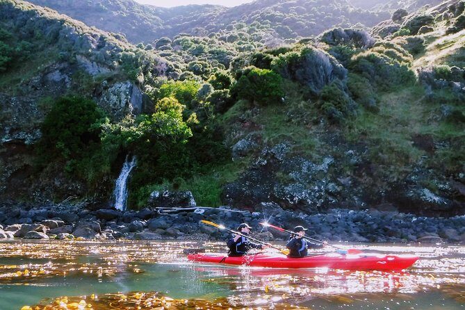 Sunrise wildlife sea kayaking in Akaroa marine reserve - Exploring the Akaroa Sunrise Wildlife Sea Kayaking Tour