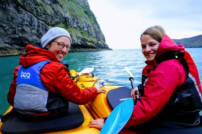 Sunrise wildlife sea kayaking in Akaroa marine reserve - Why choose this tour?
