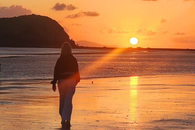 Sunrise with the kangaroos and wallabies - Relaxing Breakfast in the Bush