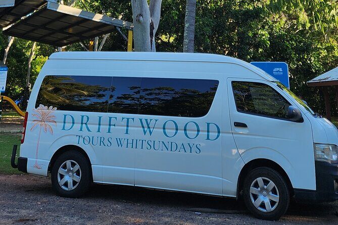 Sunrise with the kangaroos and wallabies - Exploring Cape Hillsborough National Park