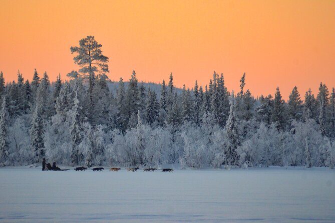 Sunrise Zen Husky Tour (10:00 to 13:00 - sitting on the sled) - A Detailed Look at the Sunrise Zen Husky Tour