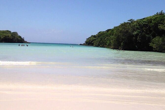 Sunscape Coco Punta Cana - Round Trip Shuttle-Punta Cana Airport - Authentic Traveler Insights from Reviews