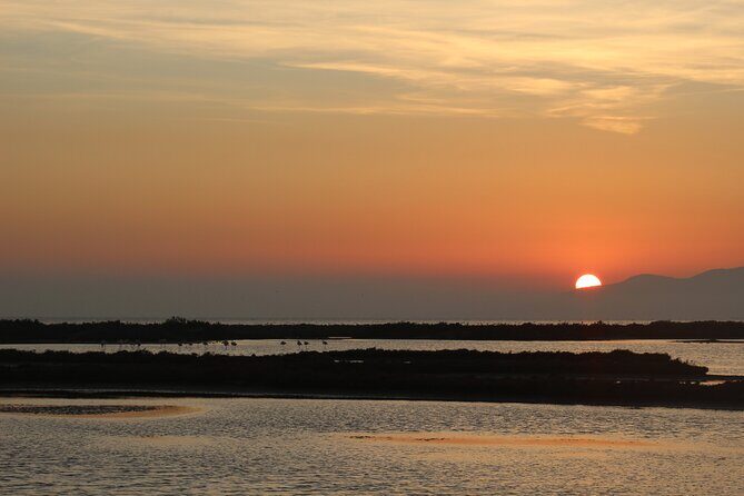 Sunset among flamingos in the Ebro Delta - An overview of what this tour offers