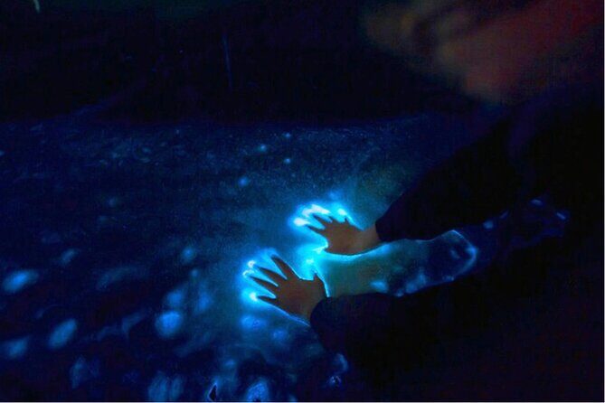 Sunset and Bioluminescence Boat Tour at Los Arcos Islands - Key Points