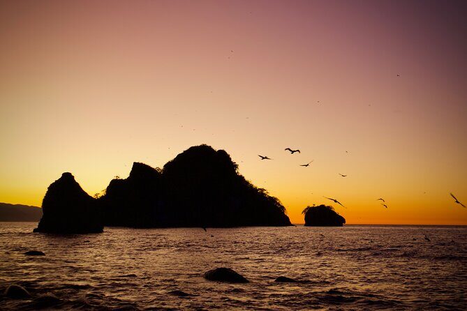 Sunset and Bioluminescence Boat Tour at Los Arcos Islands - FAQs