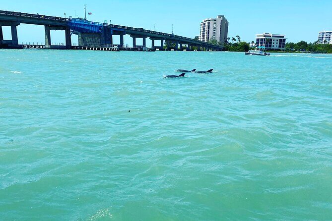 Sunset and Dolphin Cruise around Fort Myers Beach - FAQ