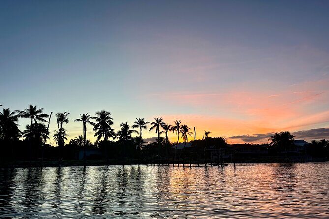 Sunset and Fireworks River Paddle Cruise - The Experience and Ambiance
