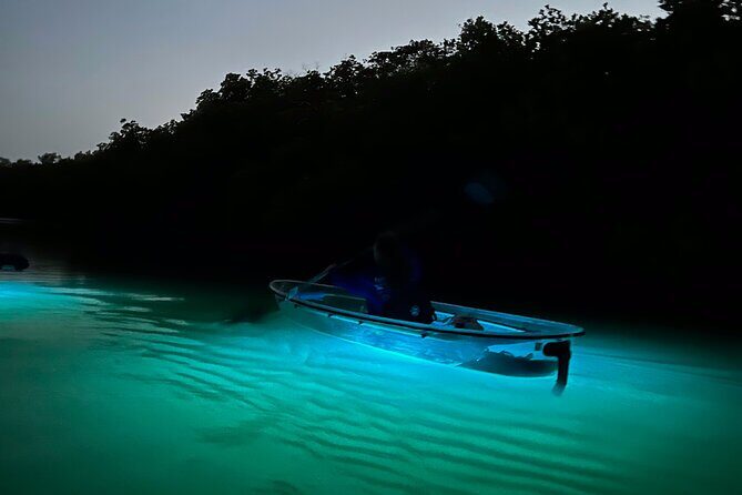 Sunset and Glow Clear Kayak Tour in North Naples - Who Would Love This Tour?