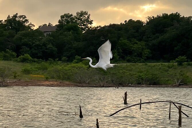 Sunset and Glow Guided Kayaking Tour Grapevine Lake - FAQ