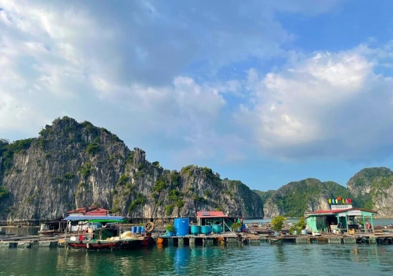 Sunset and Magical Bioluminescence plankton Night Kayak Tour - Final Thoughts