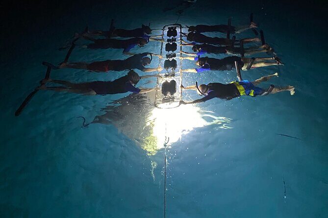 Sunset and Manta Ray Snorkel Adventure - Who Will Love This Tour?