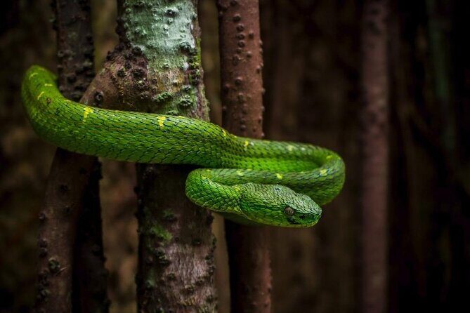 Sunset And Night Walk Guided Tour - Key Points