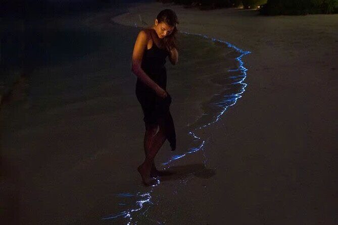 Sunset and Plankton Bioluminescent Night Kayak Lan Ha Bay - Sunset and Plankton Bioluminescent Night Kayak Lan Ha Bay: A Complete Review