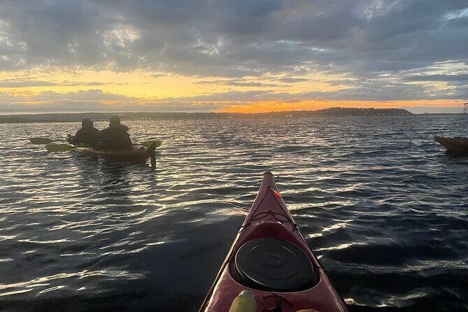 Sunset and Wildlife Kayak Tour at Fort Flagler State Park - Key Points