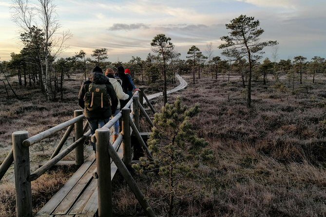 Sunset at Kemeri National Park - Key Points